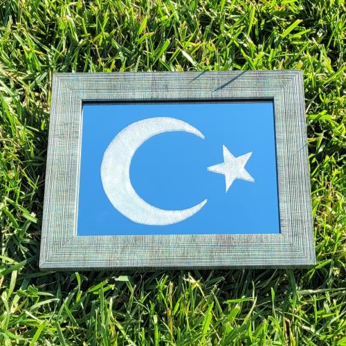 Türk Bayrağı